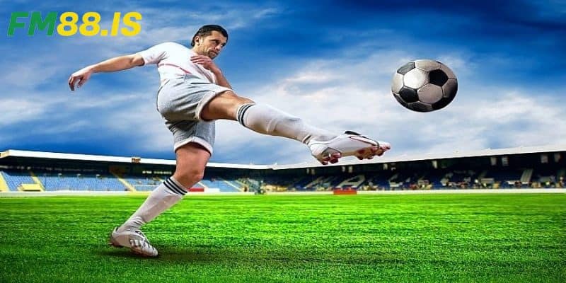 Một số lưu ý khi ứng dụng tỷ lệ 1-3-2-4
