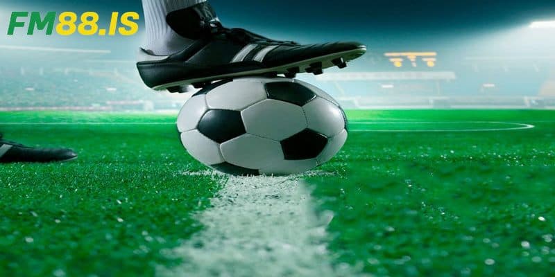 Thông tin cơ bản về cách đọc kèo bóng đá tài xỉu