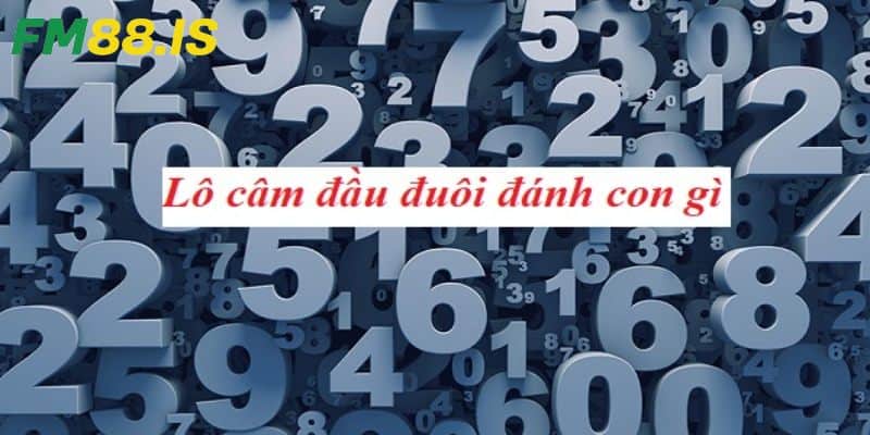 Tìm hiểu về lô đầu 1 câm