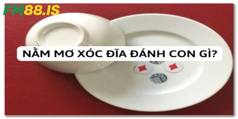 Giải mã giấc mơ xóc đĩa cùng cá lớn