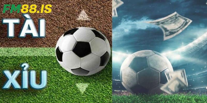 Cách đọc kèo chuẩn xác