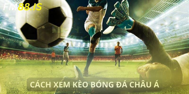 Cách đọc kèo bóng đá tài xỉu 0,5 trái dành cho hội viên