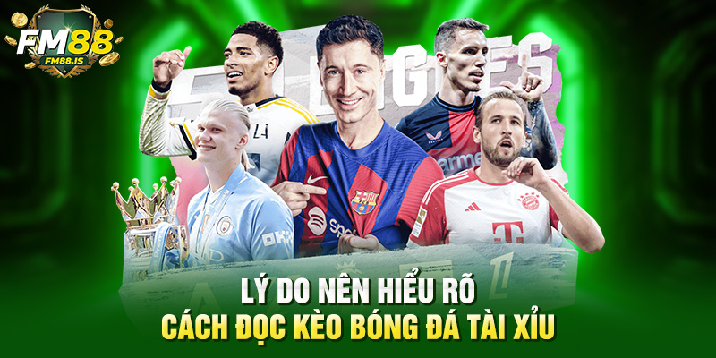 Lý do nên hiểu rõ cách đọc kèo bóng đá tài xỉu