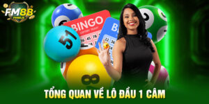Tổng quan về lô đầu 1 câm
