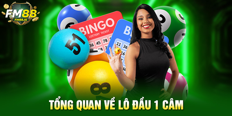 Tổng quan về lô đầu 1 câm