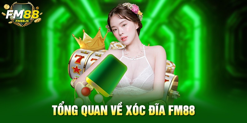 Tổng quan về xóc đĩa Fm88